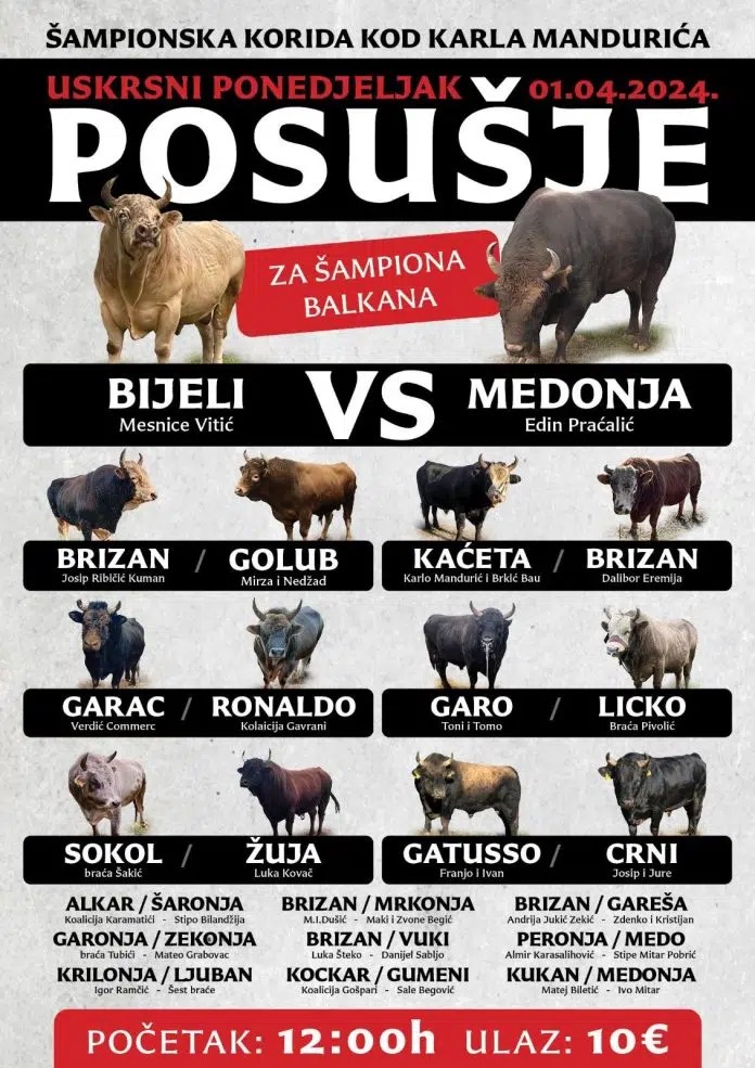 Borba desetljeća: Šampioni Hrvatske i Balkana će se sukobiti na 1711227117 Borba Desetljeca Sampioni Hrvatske I Balkana Ce Se Sukobiti Na
