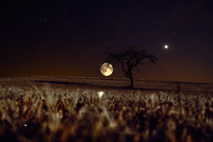 Astrologija I Ljubomora Ovan Pravi Scene Lav Posesivan Skorpiji Se