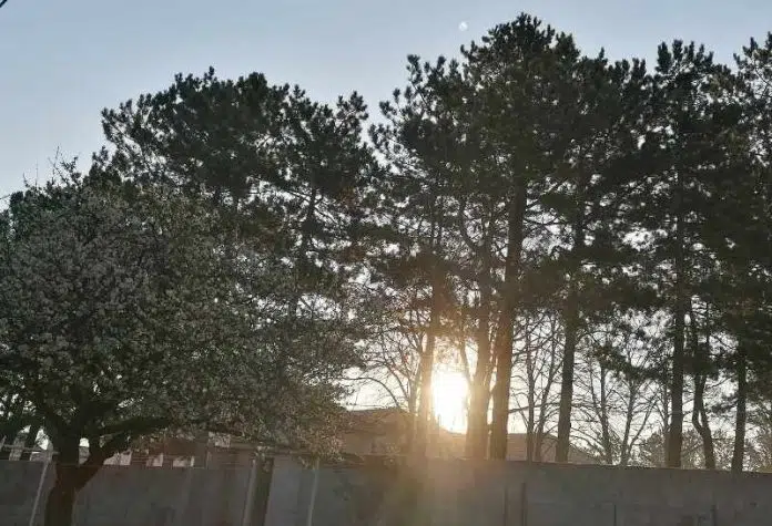 DOBRO vam vedro i rosno jutro iz Tomislavgrada! Dobro Vam Vedro I Rosno Jutro Iz Tomislavgrada