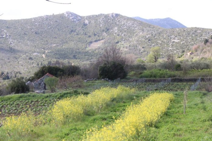 1712730741 Foto Putopisna Iznenadenja Hercegovackog Juga Ilijino Polje – Selo Gdje