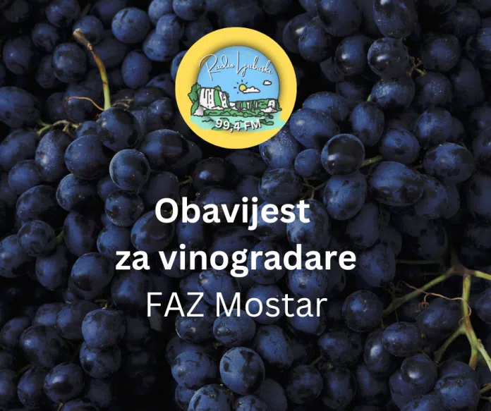 Faz Obavijest Za Vinogradare
