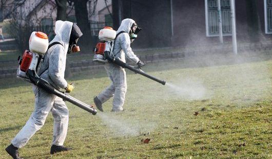 1719584708 Obavjestenje O Sprovodenju Sistematskih Ddd Mjera Na Podrucju Neuma