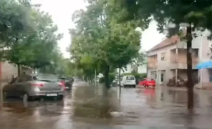 1721506791 Obilna Kisa I Snazan Vjetar Poplava U Posusju Stabla Pala.webp