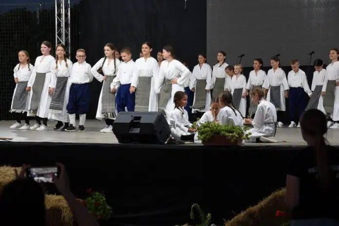 Pocele 13 Tradicionalne Medunarodne Veceri Folklora Vionica 2024 U Organizaciji