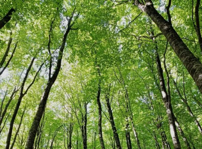 Vlada Hercegovacko Neretvanske Zupanije Unapredenjem Zakona O Lovstvu I Zakona O