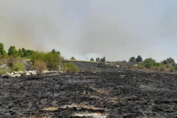 Požar ugašen na planini Oštrc 1724060765 Pozar Ugasen Na Planini Ostrc