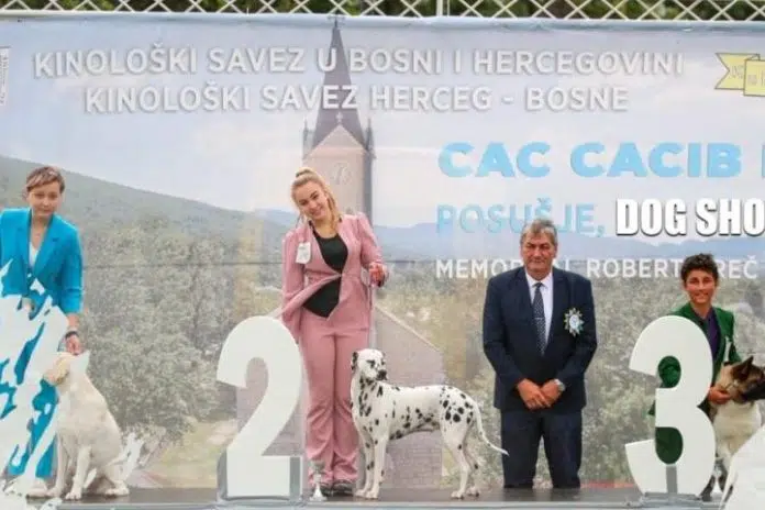 Međunarodna izložba pasa ove sedmice u Posušju. 1724431295 Medunarodna Izlozba Pasa Ove Sedmice U Posusju