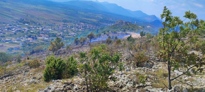1724668681 Intervencija Vatrogasaca U Gasenju Pozara U Donjim Radisicima I Vojnicima