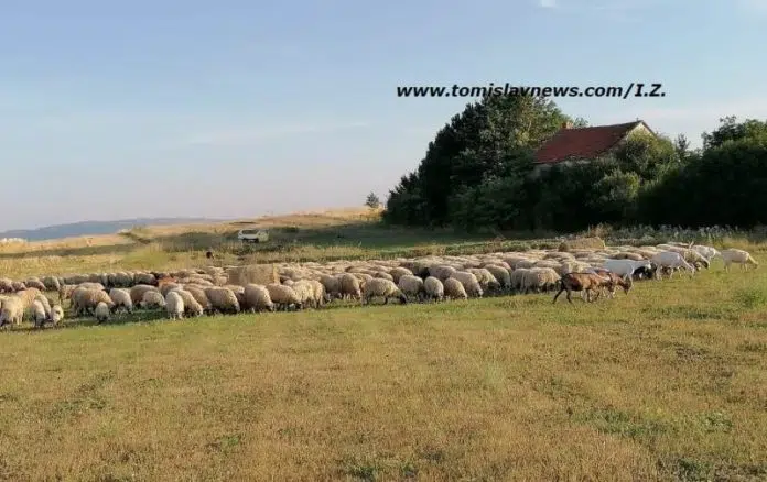 Dobro Jutro Iz Tomislavgrada Toplo I Suncano