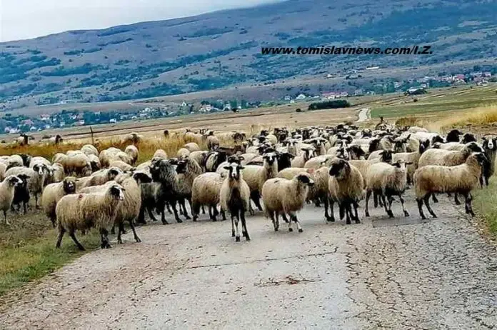 Dobro Jutro Iz Tomislavgrada Vedar Dan I Toplo Srce