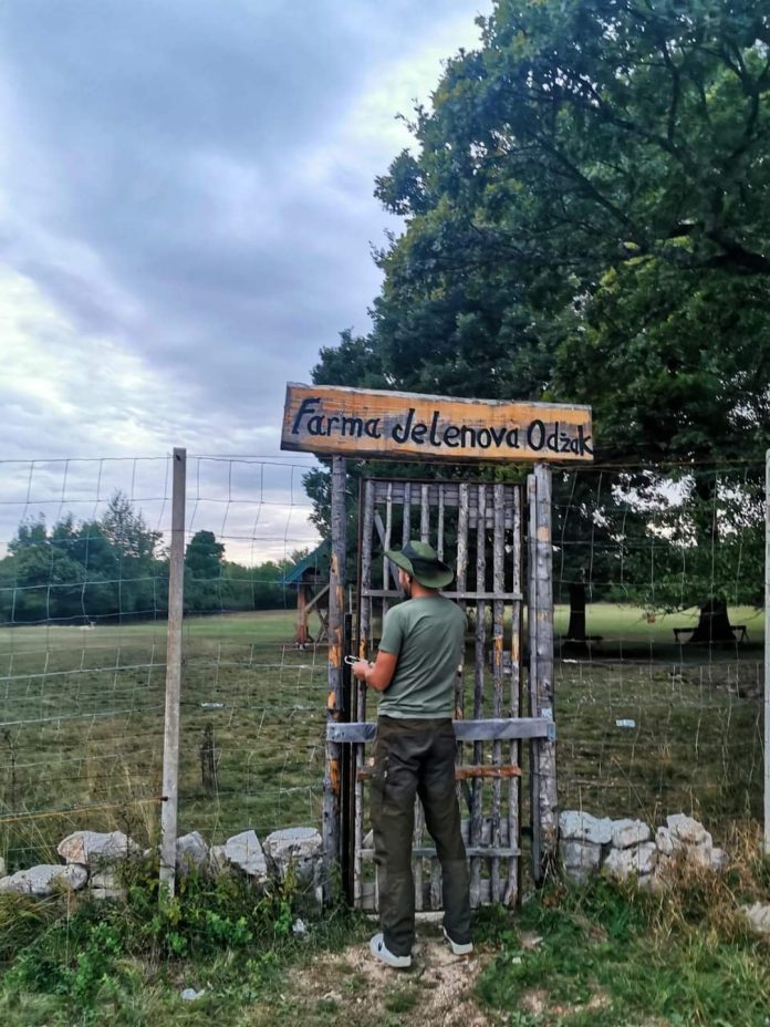 Mladi napuštaju Livno ali se i vraćaju, započinju svoj biznis Mladi Napustaju Livno Ali Se I Vracaju Zapocinju Svoj Biznis