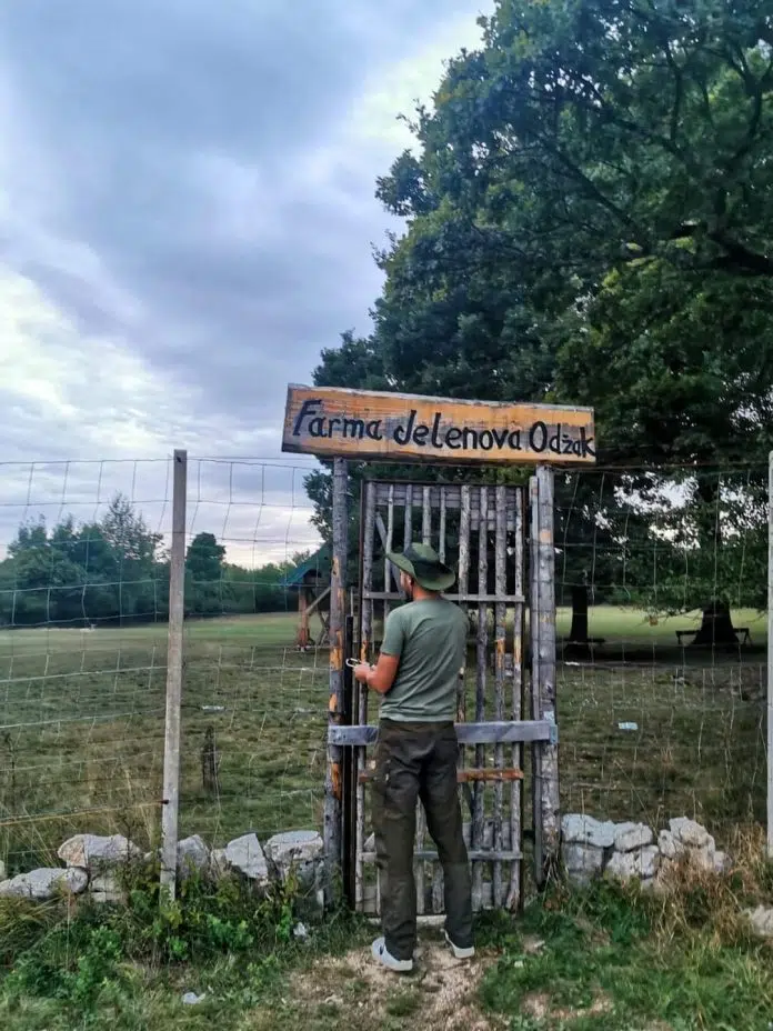Mladi napuštaju Livno ali se i vraćaju, započinju svoj biznis Mladi Napustaju Livno Ali Se I Vracaju Zapocinju Svoj Biznis