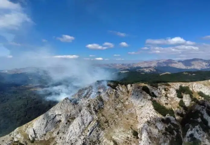Vijeće ministara BiH zatražilo međunarodnu pomoć u gašenju požara Vijece Ministara Bih Zatrazilo Medunarodnu Pomoc U Gasenju Pozara