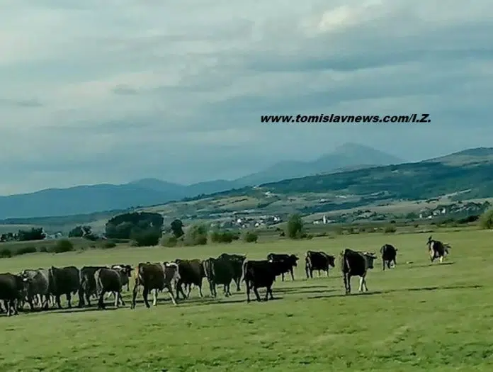 Dobro jutro, Tomislavgrade, danas će biti oblačno i kišovito! Dobro Jutro Tomislavgrade Danas Ce Biti Oblacno I Kisovito