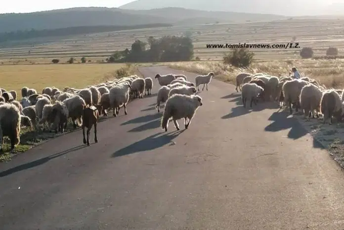 Dobro jutro i toplo namjesto vam želi Tomislavgrad! Dobro Jutro I Toplo Namjesto Vam Zeli Tomislavgrad