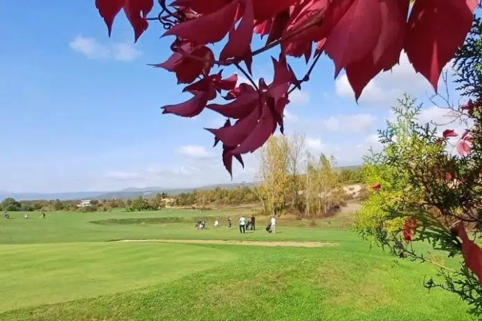 Topala: Vinski turnir u golfu 2024. 1729690846 Topala Vinski Turnir U Golfu 2024