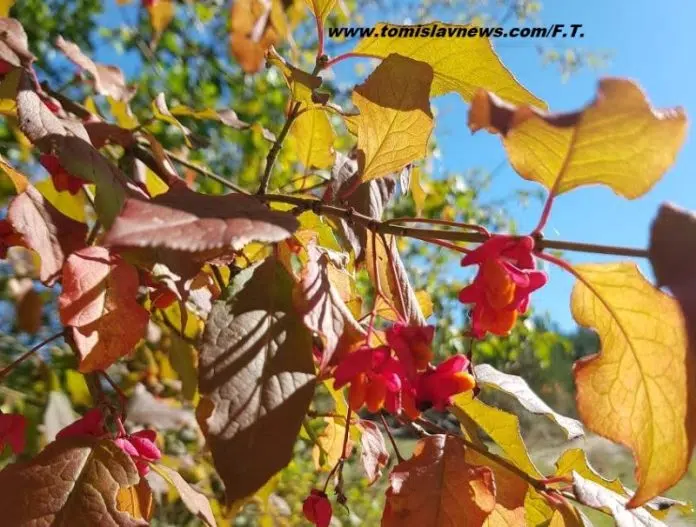 Dobro jutro iz Tomislavgrada, sunčano i razmjerno toplo! Dobro Jutro Iz Tomislavgrada Suncano I Razmjerno Toplo