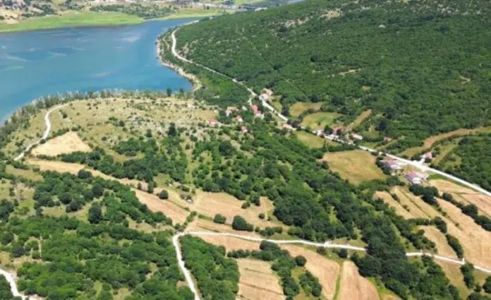 Prezentacija Podataka Novog Premijera Za Ko Prisoje Ko Grabovica I