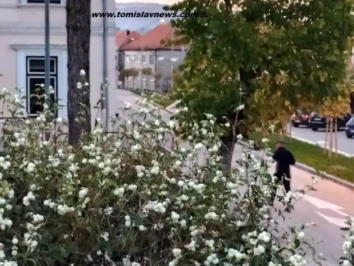 Ugodno vedro nedjeljno jutro iz Tomislavgrada! Ugodno Vedro Nedjeljno Jutro Iz Tomislavgrada