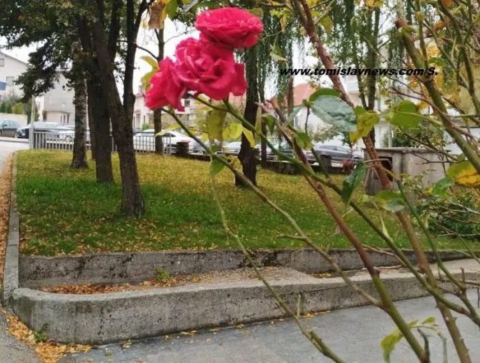 VIDEO: Divno vam sunčano i vjetrovito nedjeljno jutro iz Tomislavgrada! Video Divno Vam Suncano I Vjetrovito Nedjeljno Jutro Iz Tomislavgrada
