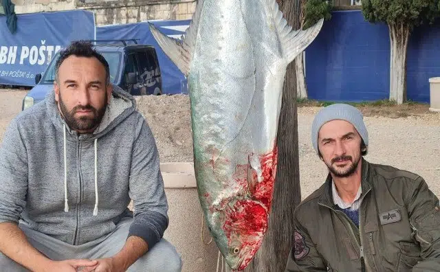 AUDIO| Evo kako su Neumljani ulovili licu od 30 kg