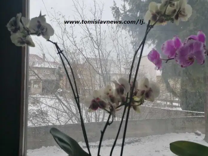 DOBRO vam umjereno oblačno i hladno jutro iz Tomislavgrada!