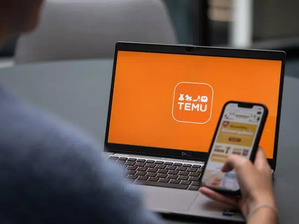 Kupuje se sve i svašta: Roba s Temua i do