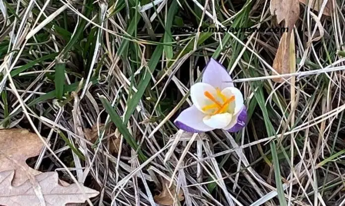 DOBRO vam vedro i prohladno jutro iz Tomislavgrada!