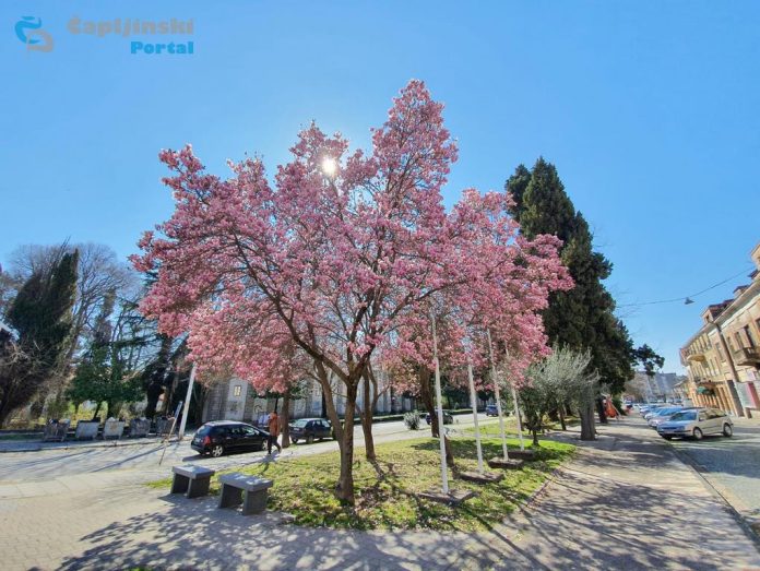 Stiže nam nadprosječno toplo vrijeme – temperature preko 20°C
