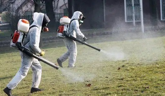 Obavijest o prvoj mjeri dezinsekcije na području općine Neum
