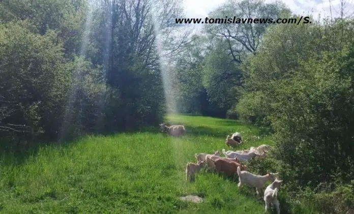 DOBRO vam vedro i toplo jutro iz Tomislavgrada!