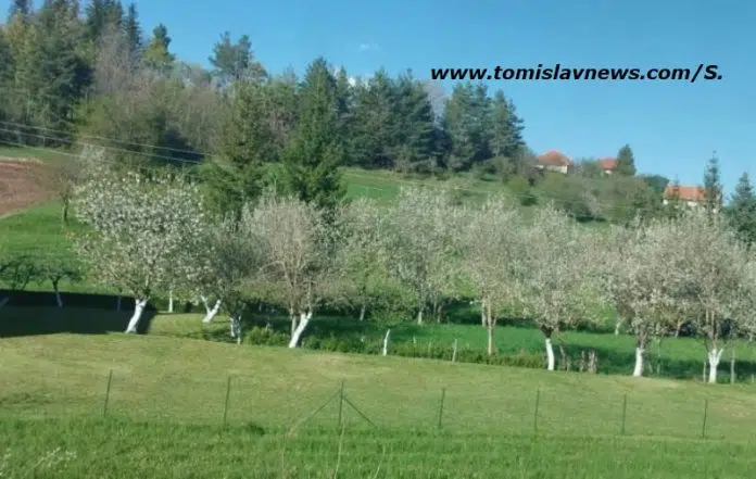 VIDEO: DOBRO vam vedro i toplo jutro iz Tomislavgrada!