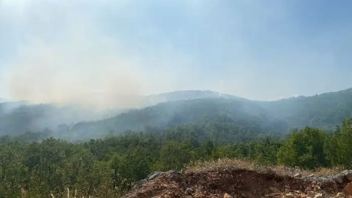 Još uvijek gori u Grudama: 35 vatrogasaca na terenu, zatražena