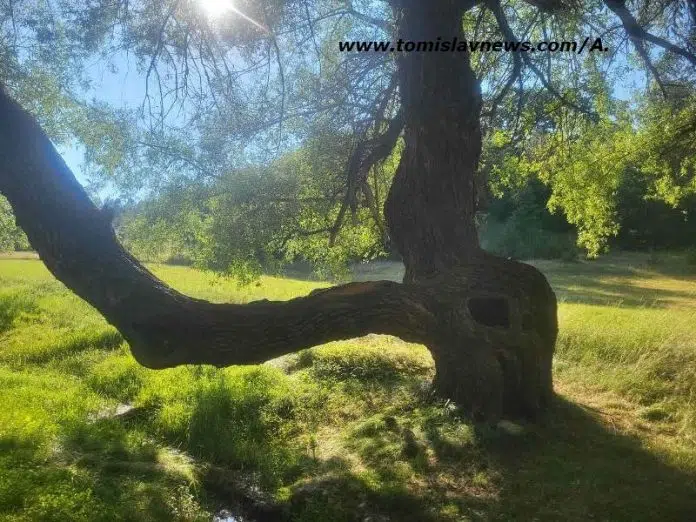 DOBRO vam vedro i toplo jutro iz Tomislavgrada!