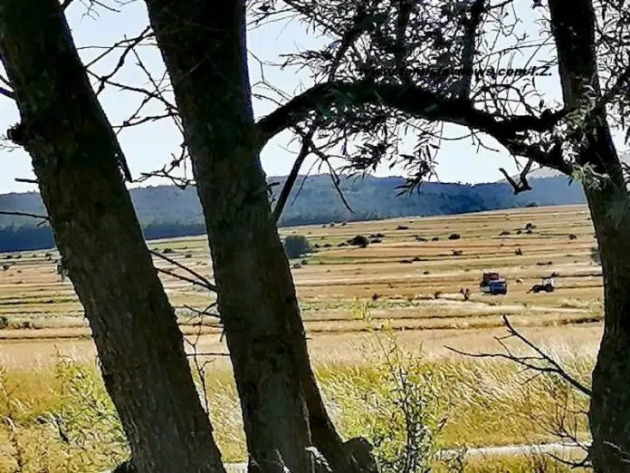 DOBRO vam vedro i toplo jutro iz Tomislavgrada!