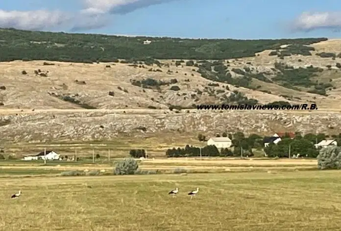 DOBRO vam umjereno vedro, vjetrovito i prohladno jutro iz Tomislavgrada!