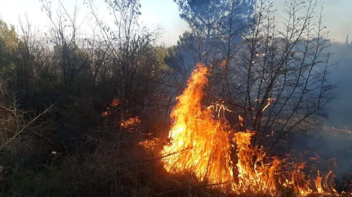 Ljubuški vatrogasci na intervencijama, građanima napomena o strogoj zabrani paljenja