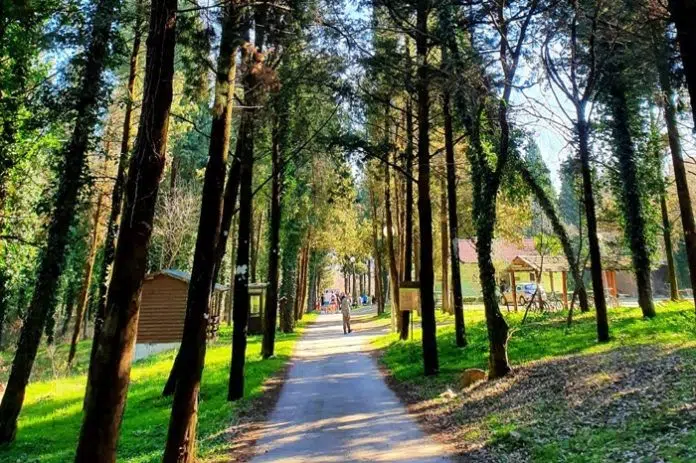 Pametne tehnologije štitit će Hutovo blato od požara – stižu