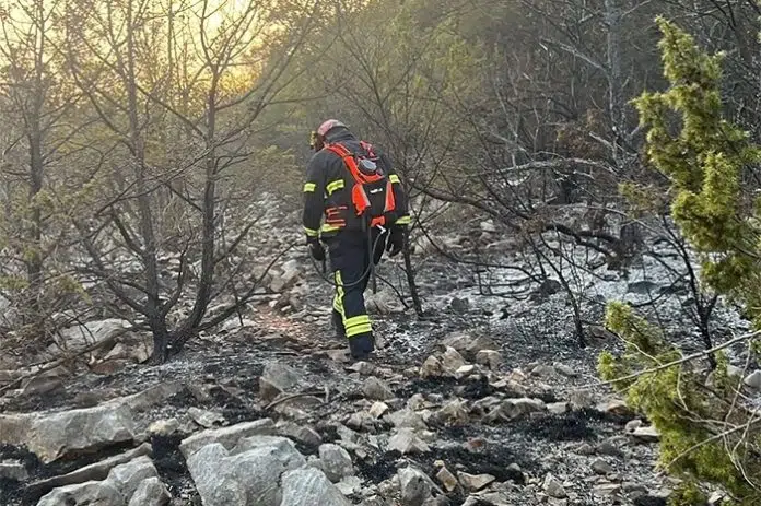 Gore šume i raslinje širom juga Hercegovine: Vatrogasne ekipe neprestano