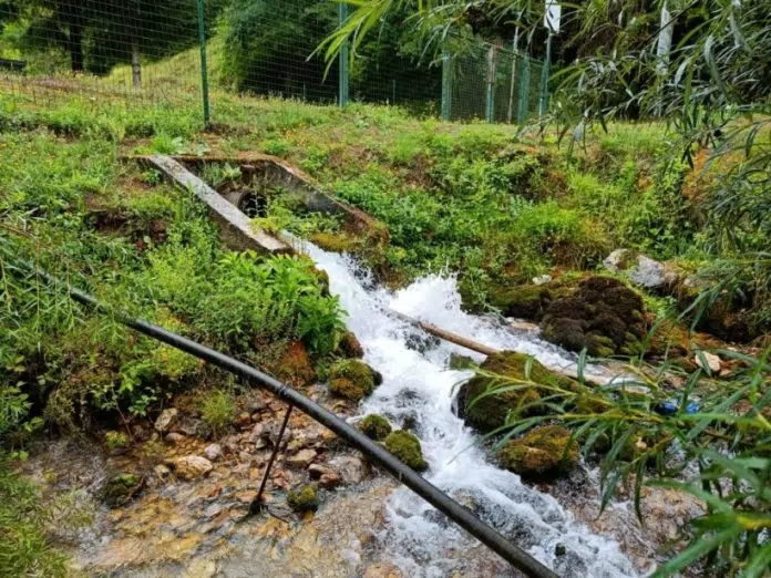 TIP Dekorativa demantira Zadrićevo pismo s vijeća, tvrdi da mu