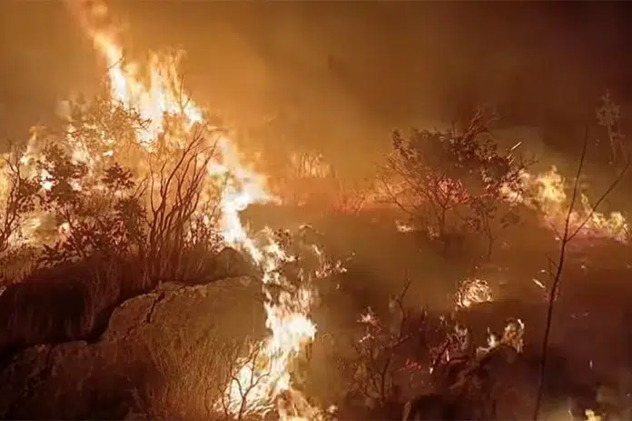 VIDEO | Teško stanje u Neumu: Gori oko Zelenikovca, pred