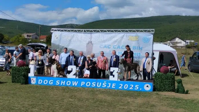 Održana međunarodna izložba pasa u Posušju: Više od 250 pasa