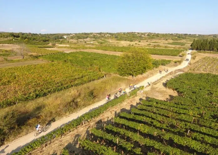 Cilj ovogodišnje biciklističke ture su Kameni vinogradi