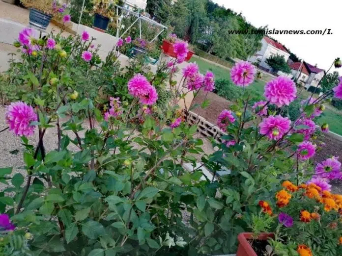 Dobro vam oblačno i vjetrovito nedjeljno jutro iz Tomislavgrada!