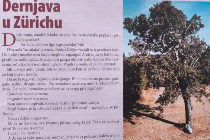 Priča Naših ognjišta: Dernjava u Zürichu