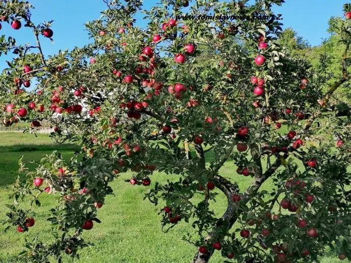VIDEO/FOTO: DOBRO vam umjereno vedro jutro iz Tomislavgrada!