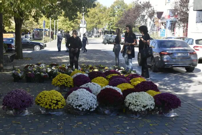 Grad Ljubuški: Poziv zainteresiranima za prodaju cvijeća uoči blagdana Svih