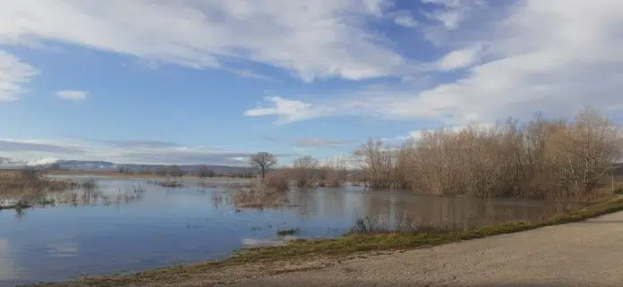 Šujica pokazala svoju ljepotu i snagu, kako joj uzvraćamo?