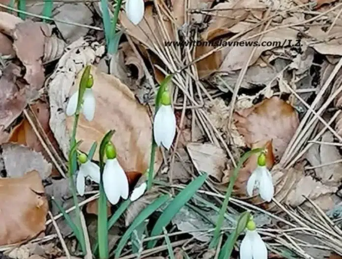 FOTO: DOBRO vam umjereno vedro jutro iz Tomislavgrada!