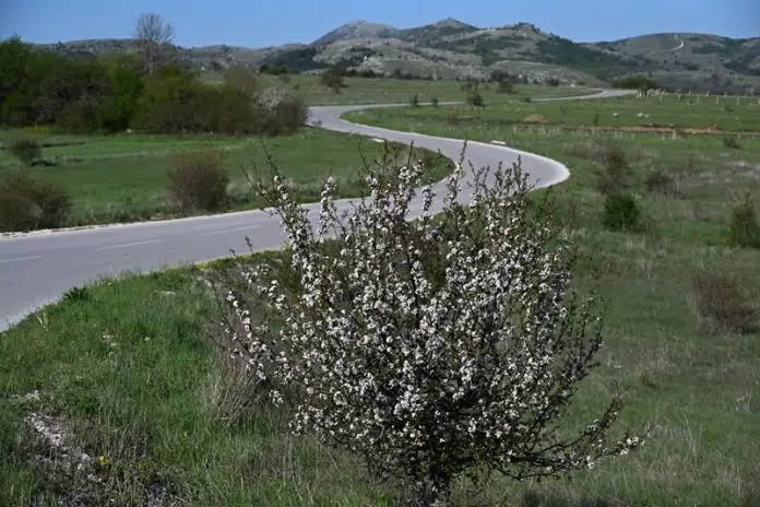VIDEO: DOBRO vam pretežno vedro jutro iz Tomislavgrada!